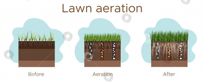 Скачать Уход за газоном - аэрация и скарификация. Надписи по этапам - до, во время и после. Потребление веществ - воды, кислорода и питательных веществ для питания травы и почвы. Векторная плоская иллюстрация - горизонтальная фотосток Ozero