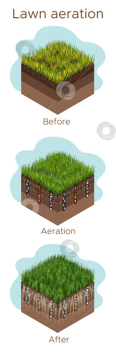 Скачать Уход за газоном - аэрация и скарификация. Надписи по этапам - до, во время и после. Потребление веществ - воды, кислорода и питательных веществ для питания травы и почвы. Векторная изометрическая иллюстрация - вертикальная фотосток Ozero