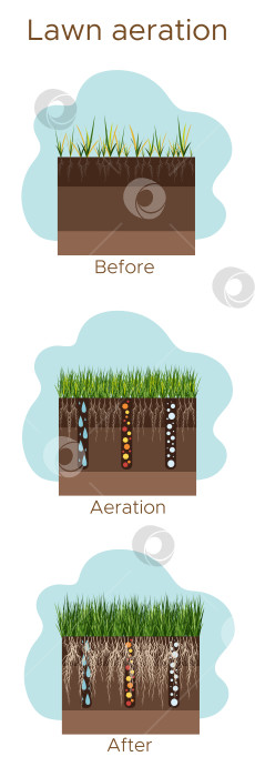 Скачать Уход за газоном - аэрация и скарификация. Надписи по этапам - до, во время и после. Потребление веществ - воды, кислорода и питательных веществ для питания травы и почвы. Векторная плоская иллюстрация - вертикальная фотосток Ozero