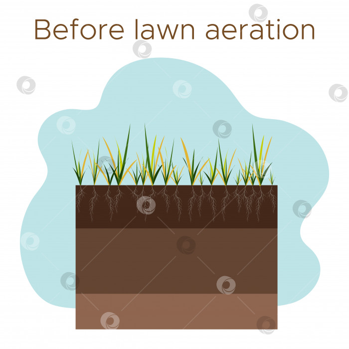 Скачать Уход за газоном - аэрация и скарификация. Этикетки по этапам-до. Потребление веществ - воды, кислорода и питательных веществ для питания травы и почвы. Векторная плоская иллюстрация изолирована фотосток Ozero
