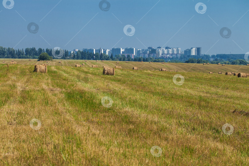 Скачать Скошенное пшеничное поле недалеко от города фотосток Ozero