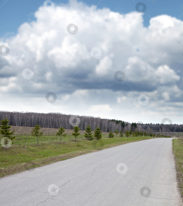 Скачать Весенний русский пейзаж фотосток Ozero
