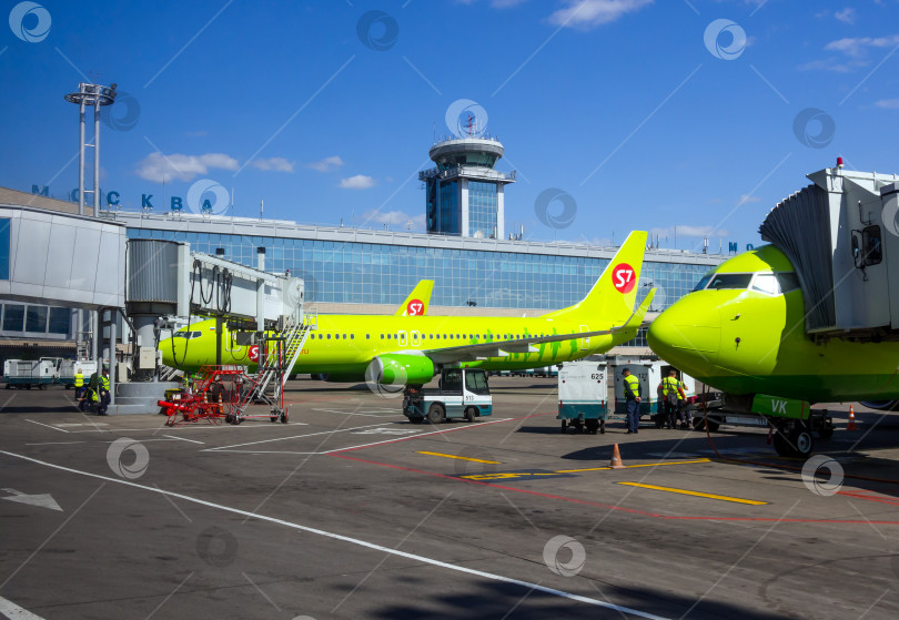 Скачать Самолет S7 Airlines в пассажирском терминале аэропорта Домодедово фотосток Ozero