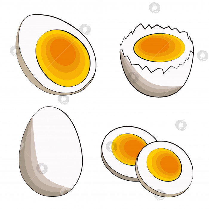 Скачать Набор из четырех яиц всмятку - половинок, в скорлупе, нарезанных ломтиками и целых. Векторная стоковая иллюстрация в плоском мультяшном стиле на белом фоне. Подходит для веб-страниц, иконок и баннеров фотосток Ozero