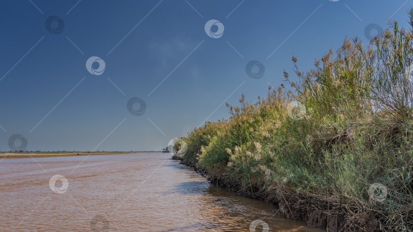 Скачать Экзотическая красно-коричневая африканская река. фотосток Ozero