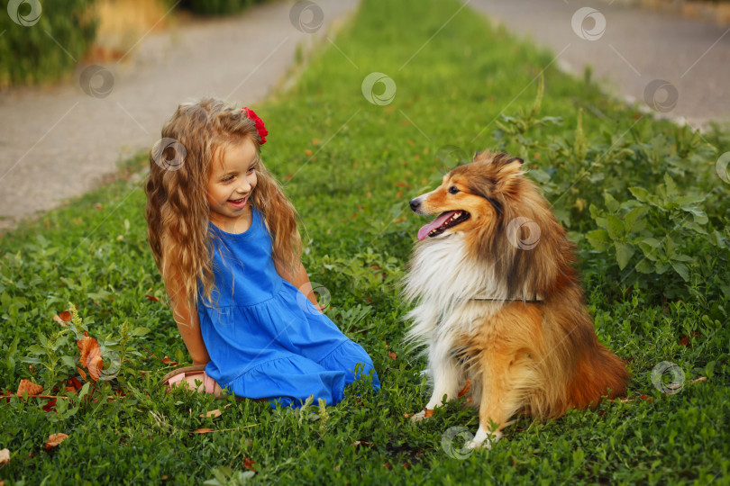 Скачать Маленькая девочка с собакой Шелти фотосток Ozero