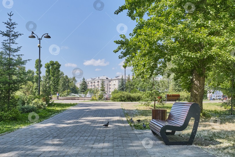 Скачать Скамейка на аллее в городском парке, Казань, Россия фотосток Ozero