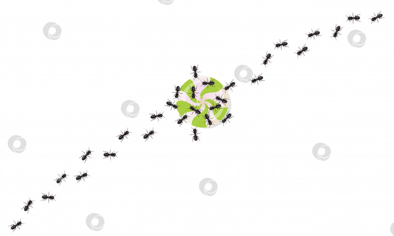 Скачать Реалистичные черные муравьи следуют за атакующими конфетами. Насекомые маршируют волнистой линией. фотосток Ozero