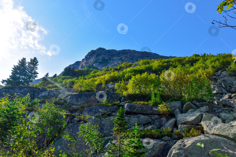 Скачать Природный парк Ергаки фотосток Ozero