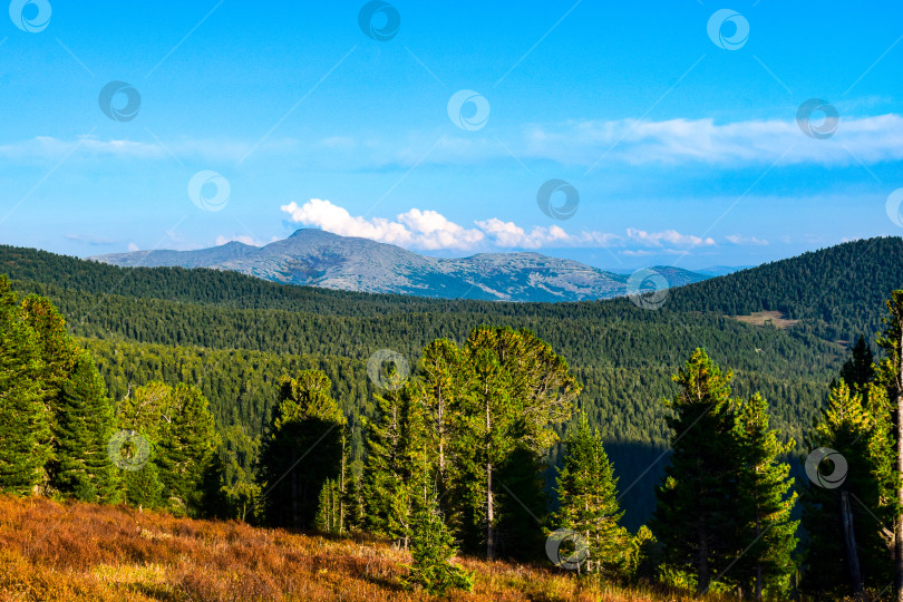 Скачать Природный парк Ергаки фотосток Ozero