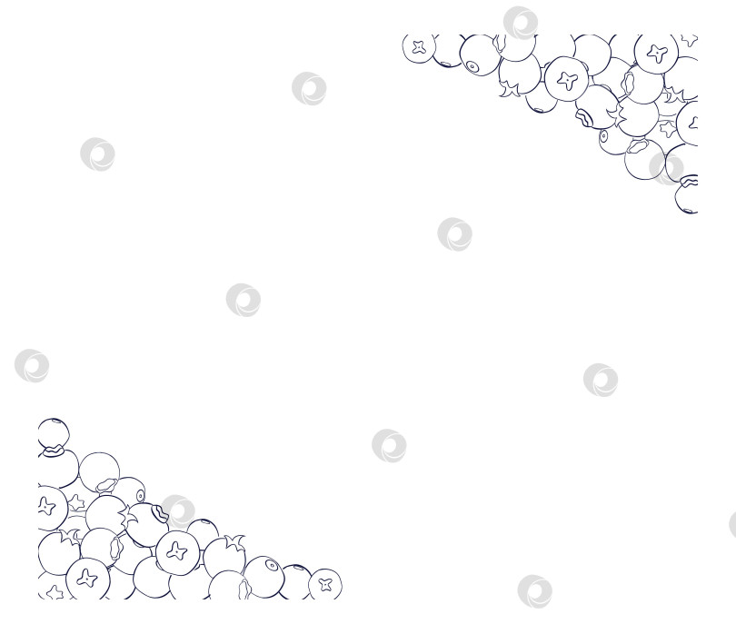 Скачать Шаблон графической рамки с ягодами. Векторный баннер с изображением черники. Горизонтальная рамка для поздравительной открытки с ручной росписью и пространством для текста. фотосток Ozero