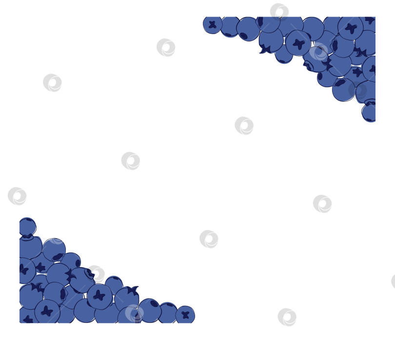 Скачать Голубика, нарисованная от руки в графическом линейном стиле, группа спелых лесных ягод голубики. Вектор для ресторана, меню кафе, свадьбы, фермерского рынка фотосток Ozero