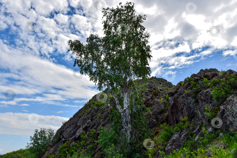 Скачать Окрестности палеовулкана фотосток Ozero