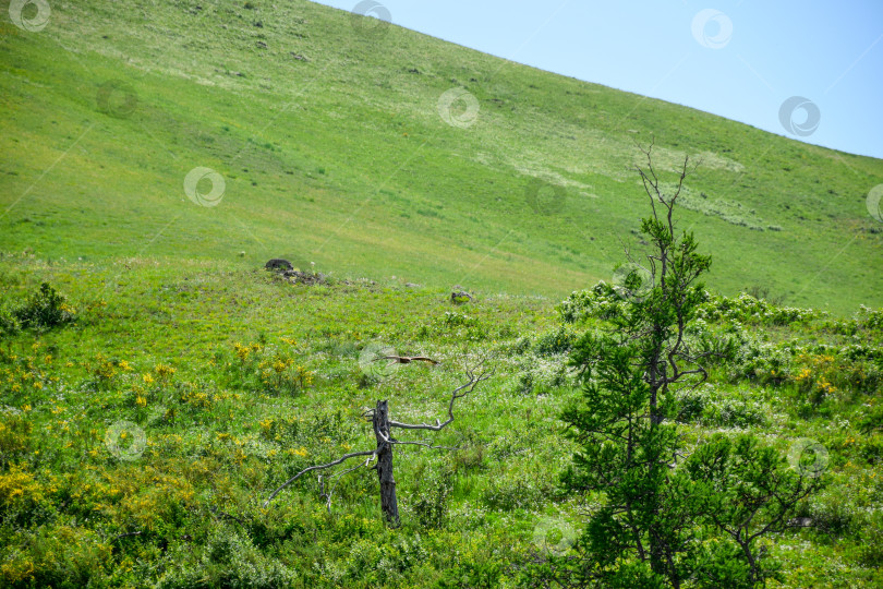 Скачать Окрестности палеовулкана фотосток Ozero