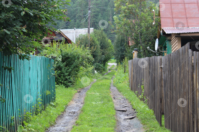 Скачать Дорожка в саду фотосток Ozero