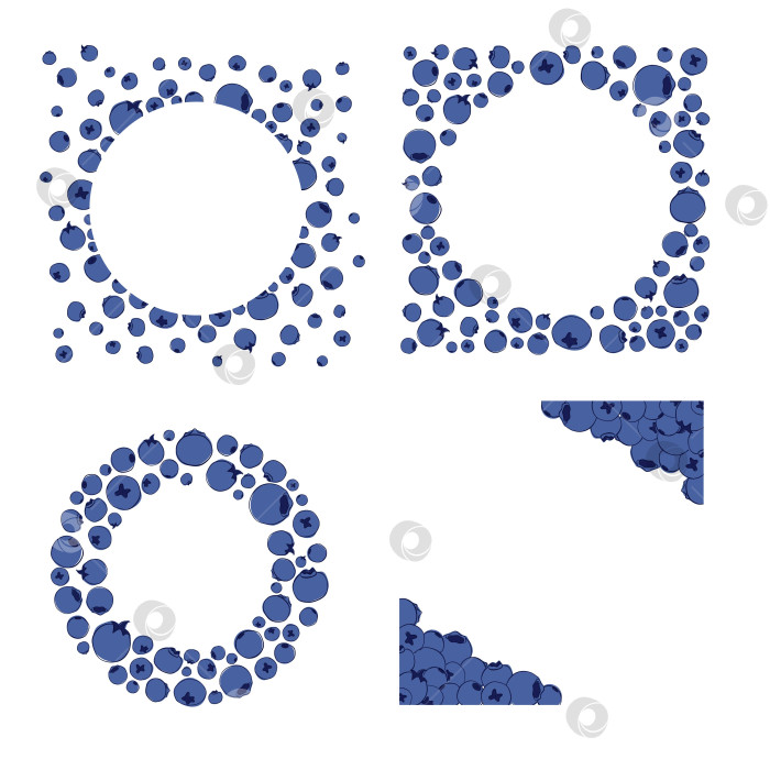Скачать Набор круглых рамок с черникой. Векторная графическая линейная иллюстрация. фотосток Ozero