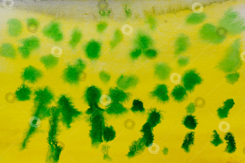 Скачать Желто-зеленая акварельная абстракция фотосток Ozero
