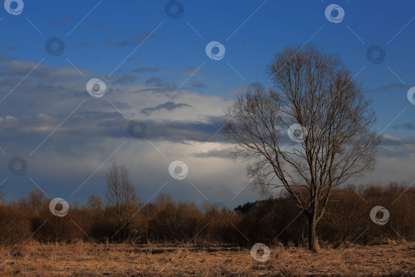 Скачать Карельский перешеек. Майский пейзаж перед снежным зарядом фотосток Ozero