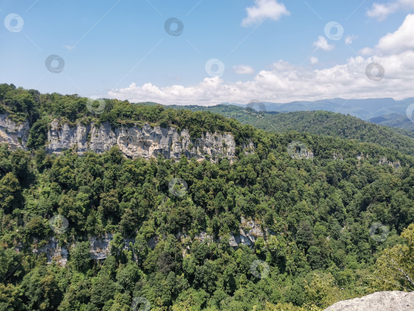 Скачать Россия, Краснодарский край, Сочи, Адлерский район, с. Красная Воля. Июня 2023. Ущелье в национальном парке. Белые скалы. фотосток Ozero