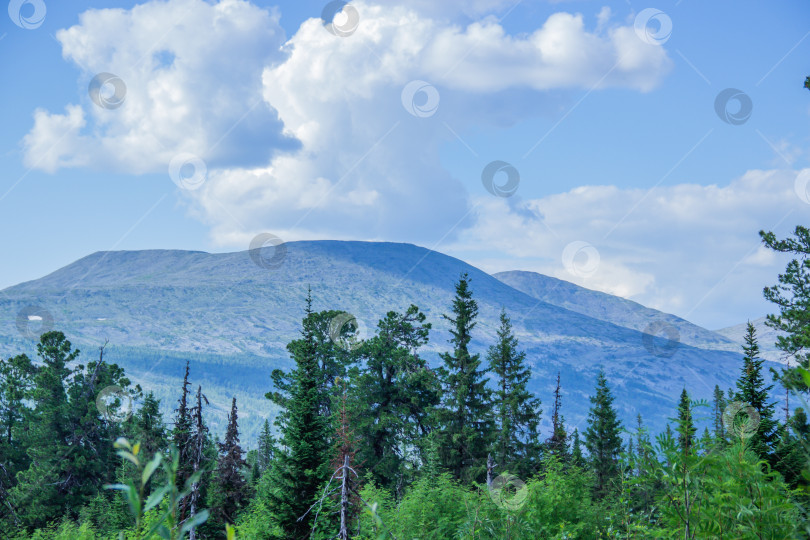 Скачать Главный Уральский Хребет фотосток Ozero