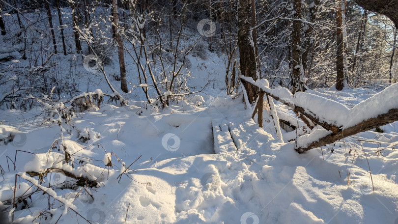 Скачать Зимний пейзаж с мостиком фотосток Ozero