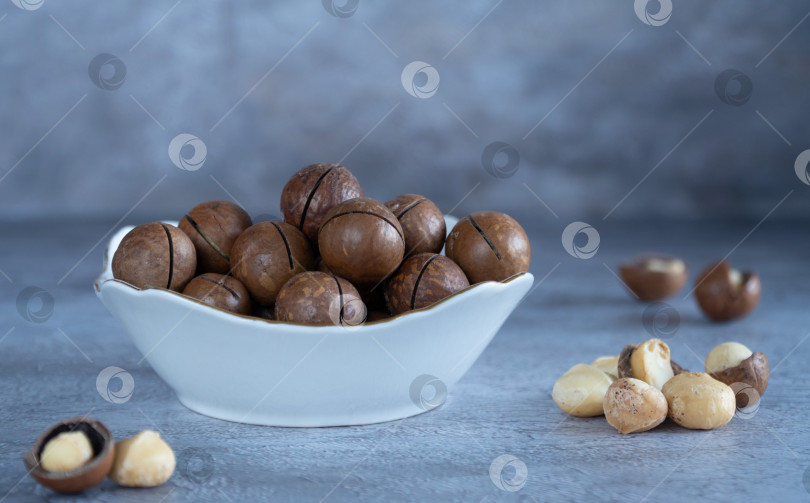 Скачать Орех макадамия в вазе. избирательный фокус. киндал, австралийский грецкий орех. фрукт имеет сливочно-шоколадный вкус. самый редкий и дорогой орех в мире фотосток Ozero
