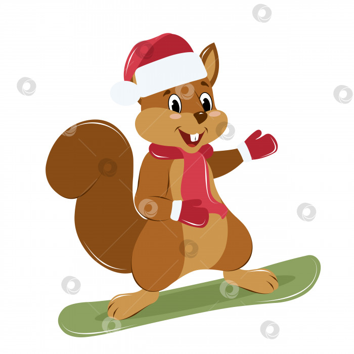 Скачать милая белка в новогодней шапке, шарфе и варежках катается на сноуборде, зимние развлечения, без фона фотосток Ozero
