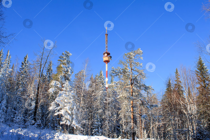 Скачать Пейзаж с телевышкой на Синей горе. фотосток Ozero