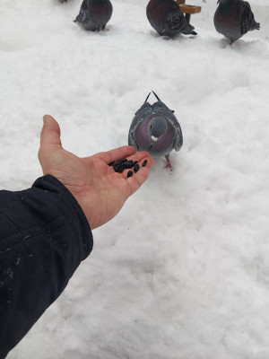[object Object] undefined