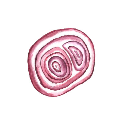 [object Object] undefined
