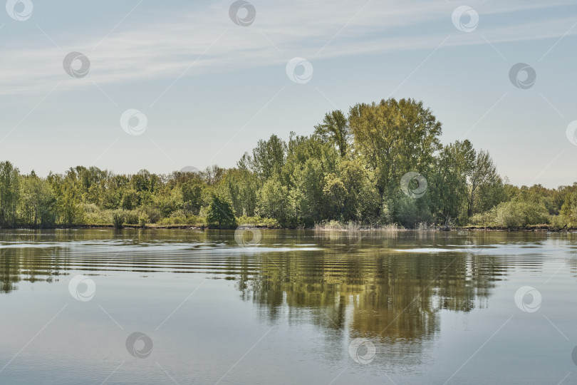 Скачать Спокойно текущая река в сельской местности. фотосток Ozero