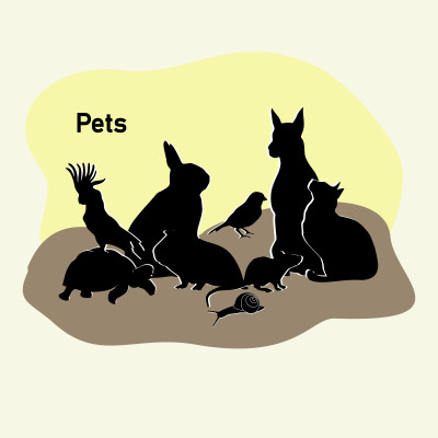 [object Object] undefined