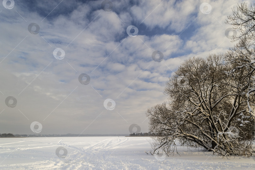 Скачать Зимний пейзаж фотосток Ozero