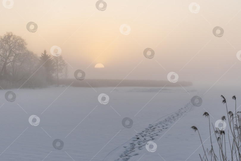 Скачать Зимний туманный пейзаж на берегу озера фотосток Ozero