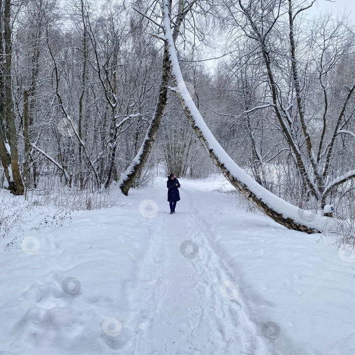 Скачать Зима в Подмосковье. фотосток Ozero