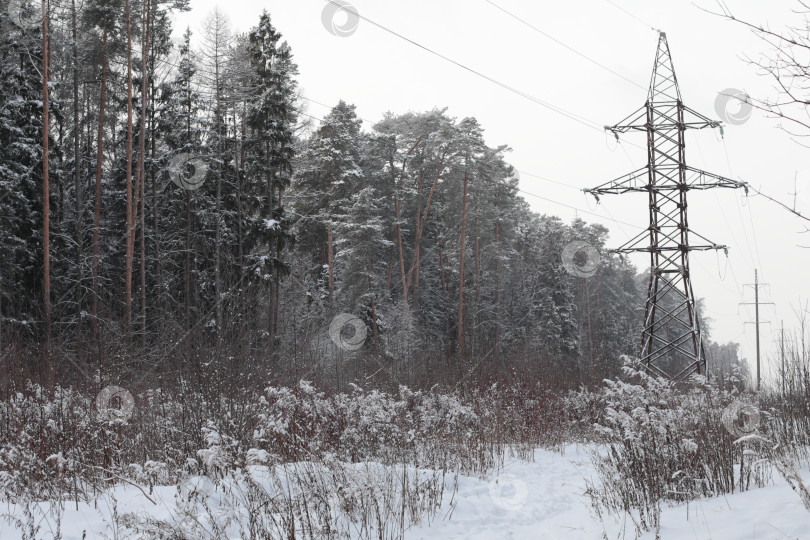 Скачать Лэп зимой в лесу фотосток Ozero