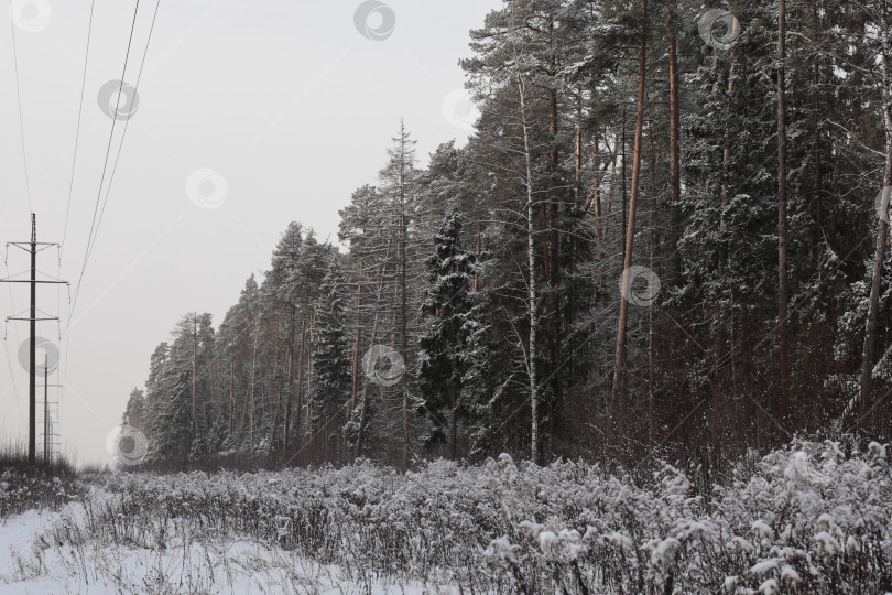 Скачать просека под лэп фотосток Ozero