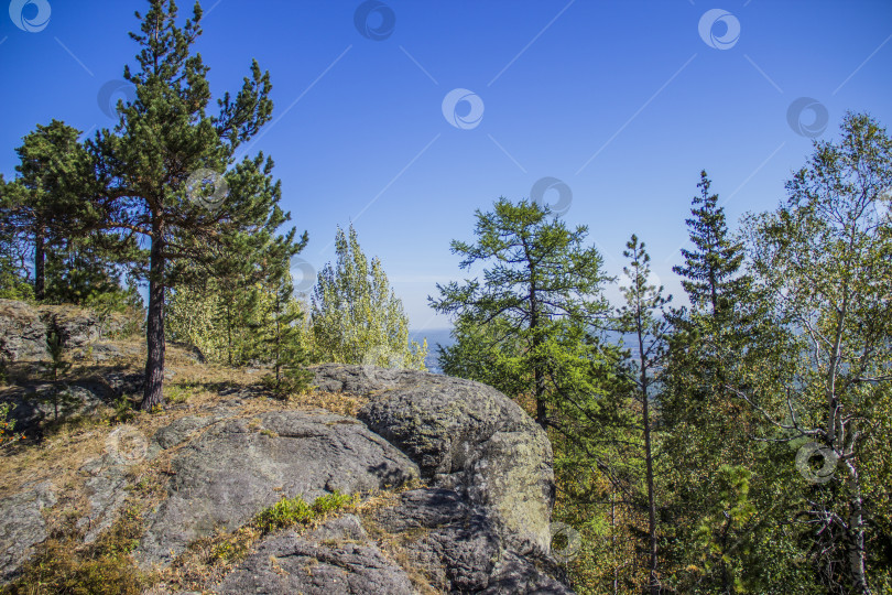 Скачать Гора Синяя, вид с Кудрявого камня. фотосток Ozero