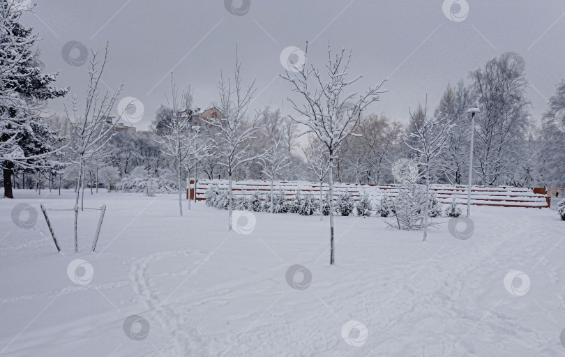 Скачать Зима, снежная поляна, ель, скамья в снегу фотосток Ozero