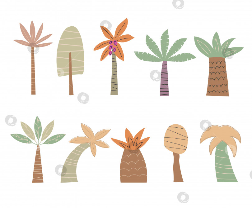 Скачать Плоский векторный набор тропических пальм, выделенных на белом фоне фотосток Ozero