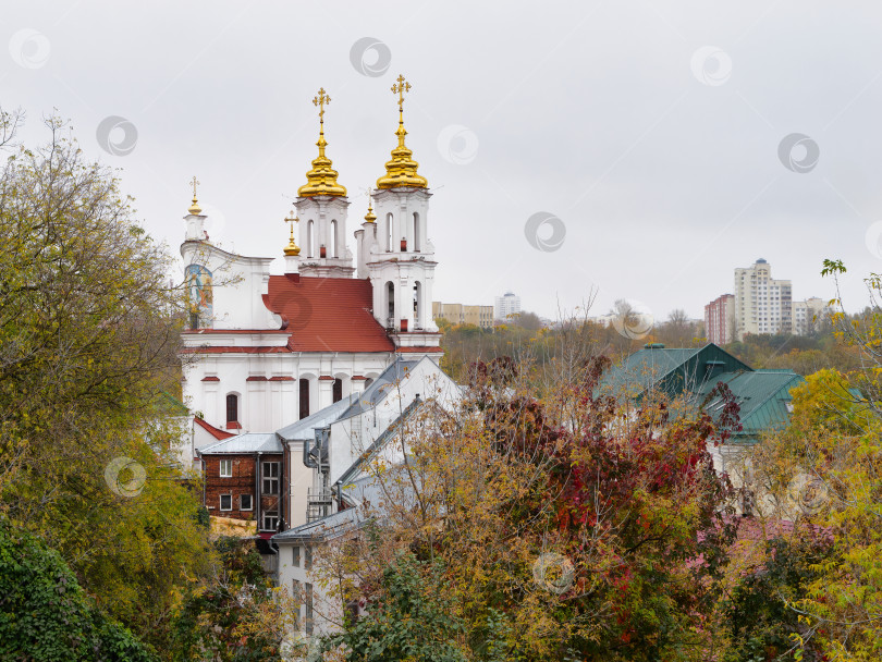 Скачать Православный храм преподобного Антония Римлянина в Витебске осенью фотосток Ozero