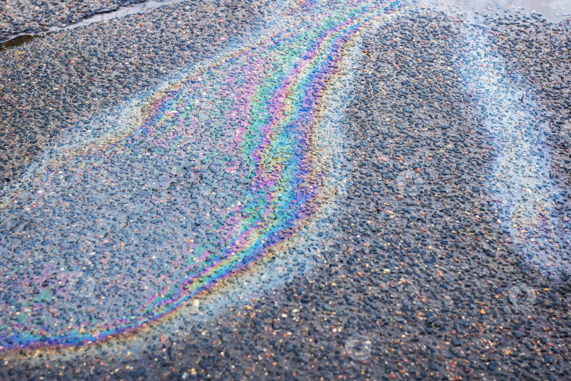 Скачать В воде на земле отражается прекрасная радуга фотосток Ozero