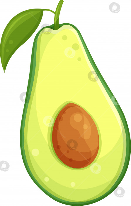 Скачать векторная иллюстрация еды половинка авокадо, здоровая пища, здоровый завтрак, иллюстрация для кулинарного блога фотосток Ozero