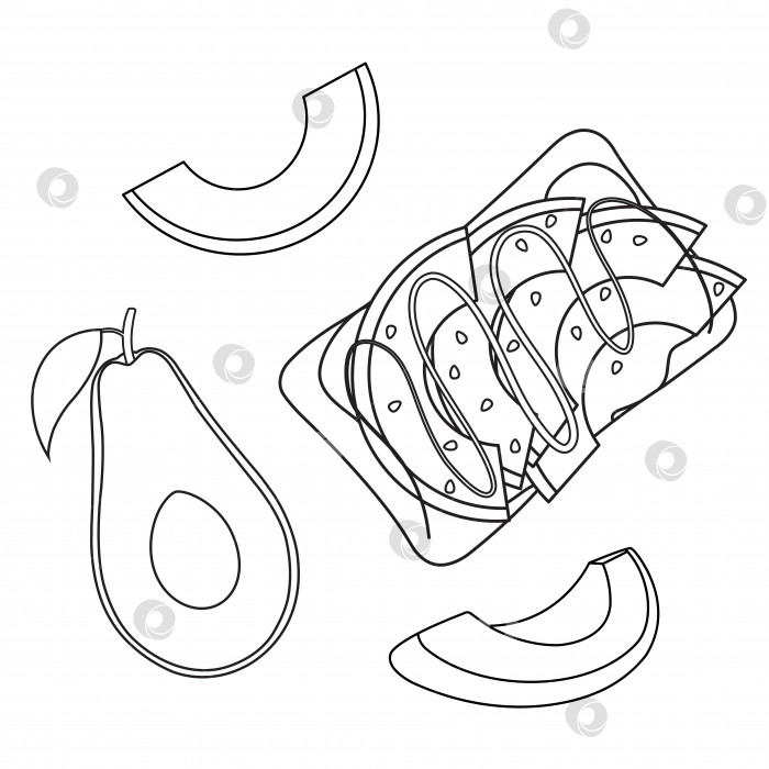 Скачать набор векторных иллюстраций еды из авокадо, здоровой пищи, здорового завтрака, иллюстрации для кулинарного блога, каракули и стиль эскиза фотосток Ozero
