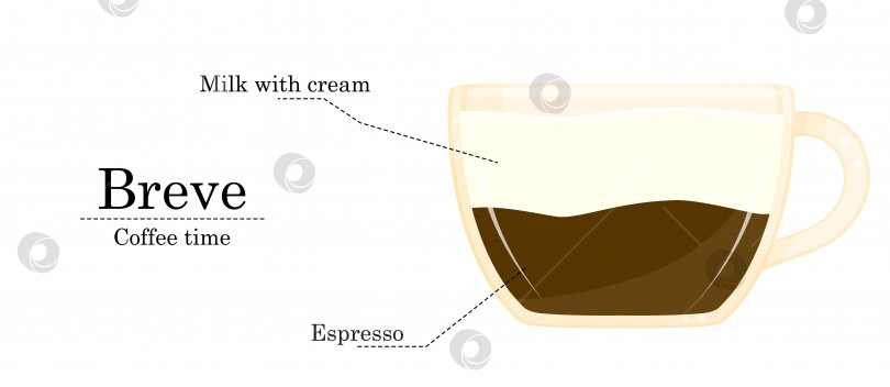 Скачать Векторная иллюстрация рецепта кофе, рецепт приготовления бреве, иллюстрация кофейни фотосток Ozero
