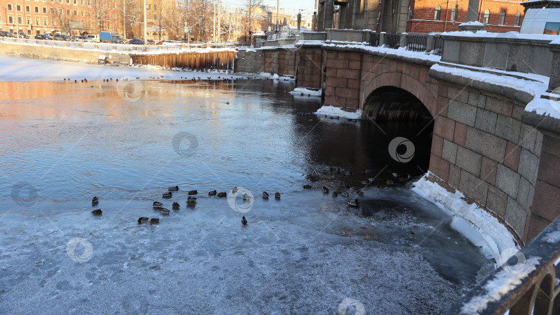 Скачать Старо-Калинкин мост, река Фонтанка, Санкт-Петербург фотосток Ozero