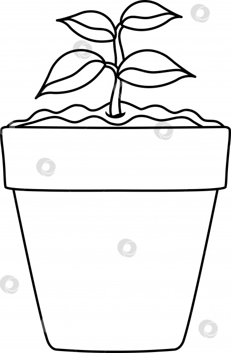Скачать яркая векторная иллюстрация горшка с рассадой, молодого растения, комнатных растений и огорода, каракули и эскиз фотосток Ozero