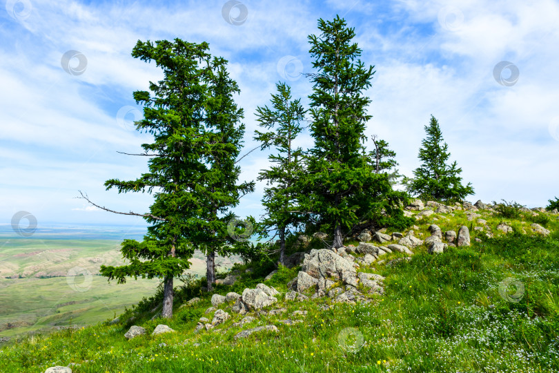 Скачать Древние горы Хакасии фотосток Ozero