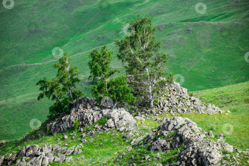 Скачать Древние горы Хакасии фотосток Ozero