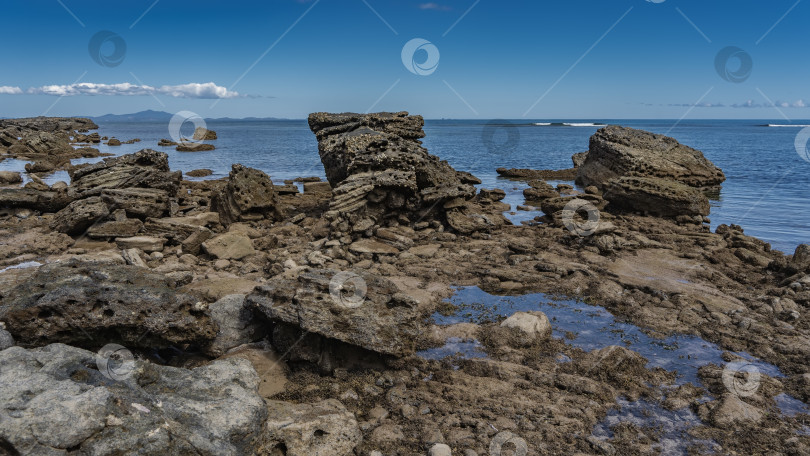 Скачать Побережье во время отлива. Обнажились камни морского дна. фотосток Ozero